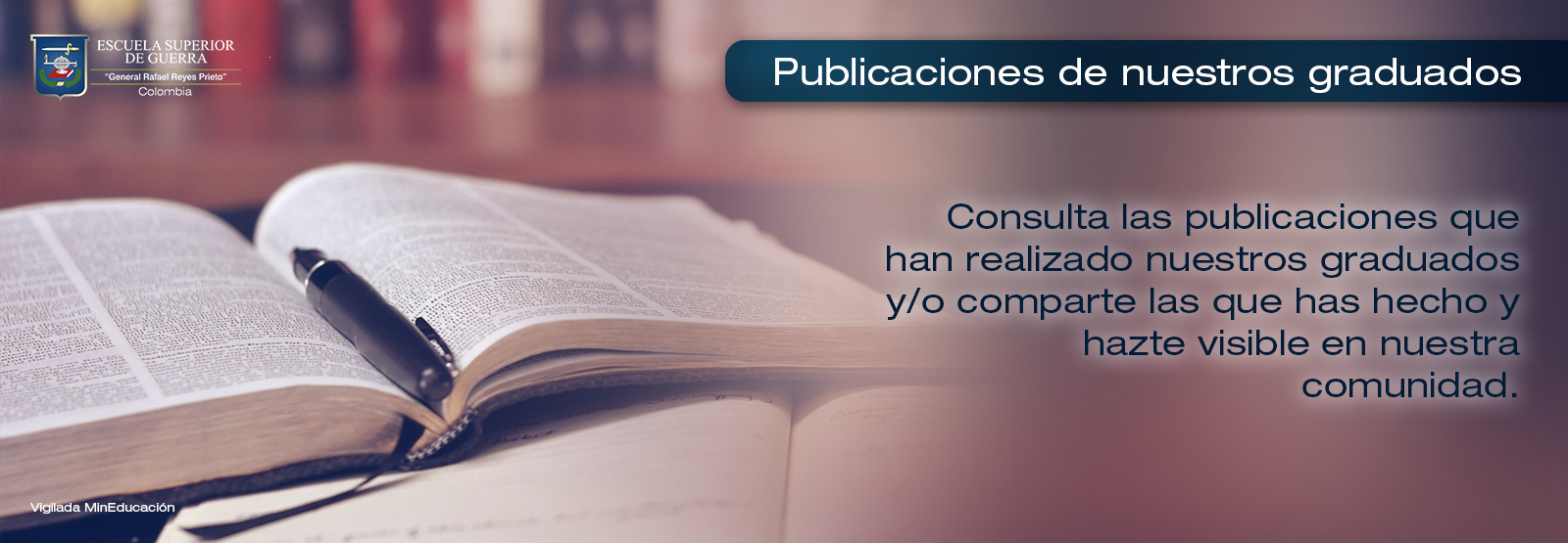 Publicaciones de Graduados