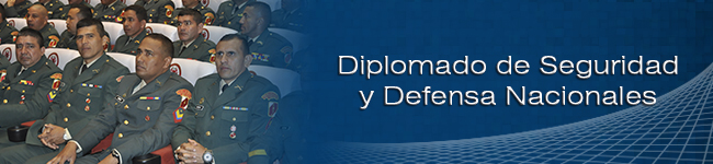 Diplomado de Seguridad y Defensa Nacionales